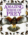 Amazing Birds of Prey (Amazing worlds)
