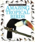 Amazing Tropical Birds (Amazing worlds)